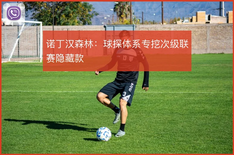 诺丁汉森林：球探体系专挖次级联赛隐藏款