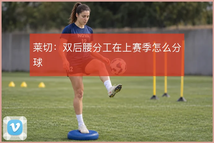 莱切：双后腰分工在上赛季怎么分球