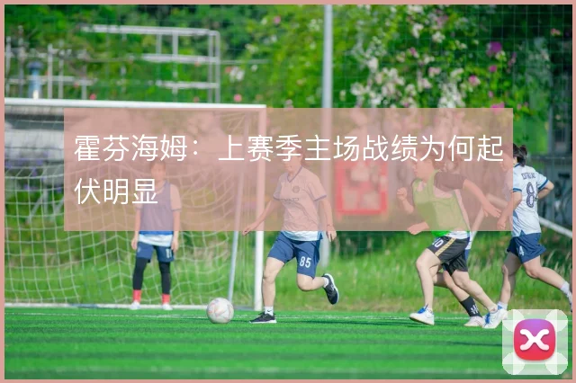 霍芬海姆：上赛季主场战绩为何起伏明显